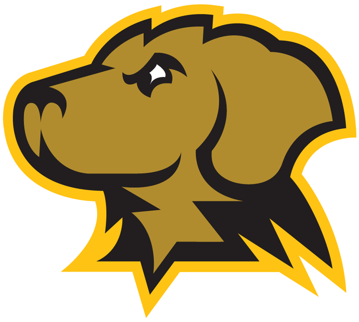 UMBC Retrievers 2010-Pres Partial Logo diy DTF decal sticker